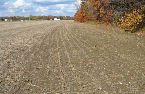 Property photo 3 - 75.3 Acres Offered in 2 Tracts